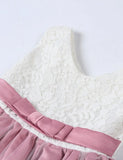 Bow Tutu Lace Dress