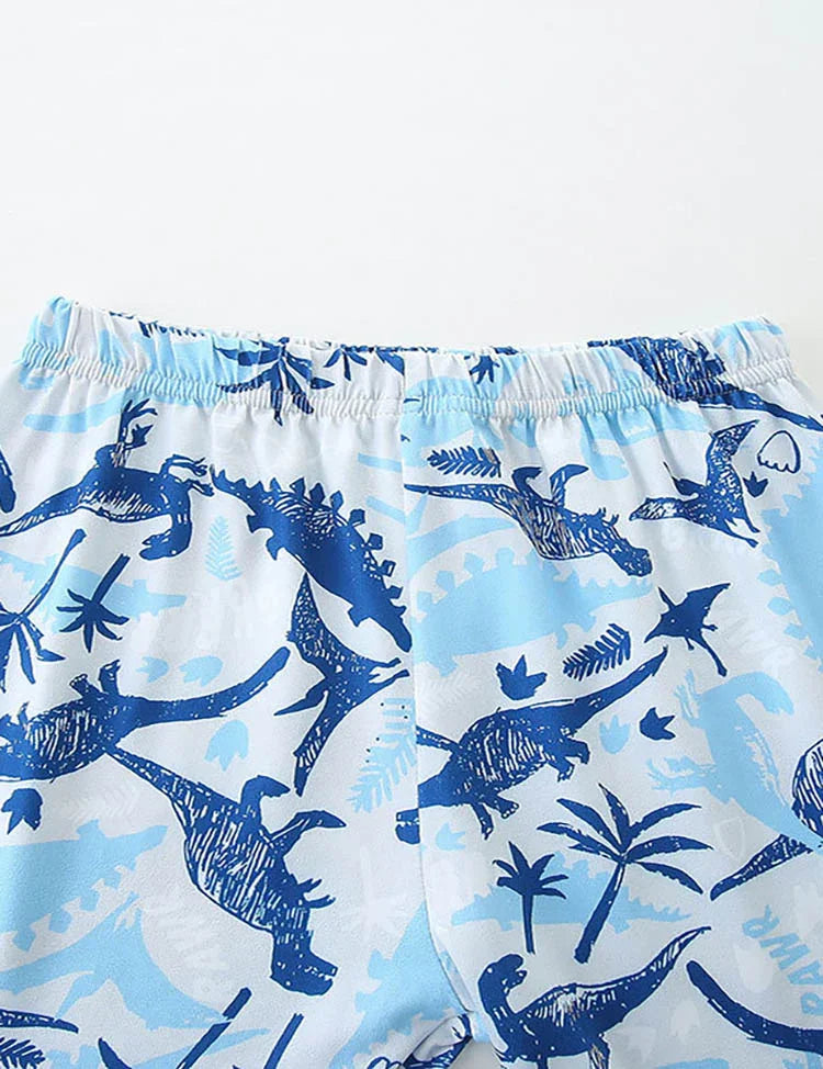 Dinosaur Print Short Sleeve T-Shirt and Shorts Set