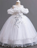 Flower Embroidered Long Princess Dress