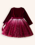 Christmas Velvet Star Tulle Dress
