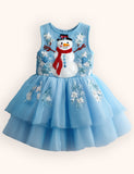 Tulle Snowman Applique Dress