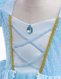 Cinderella Princess Party Dress - Mini Taylor
